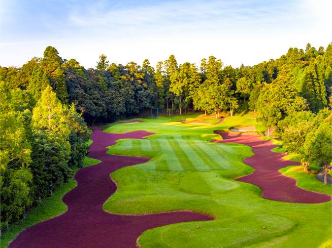 Tee Time Booking enquiry Tee Time enquiry